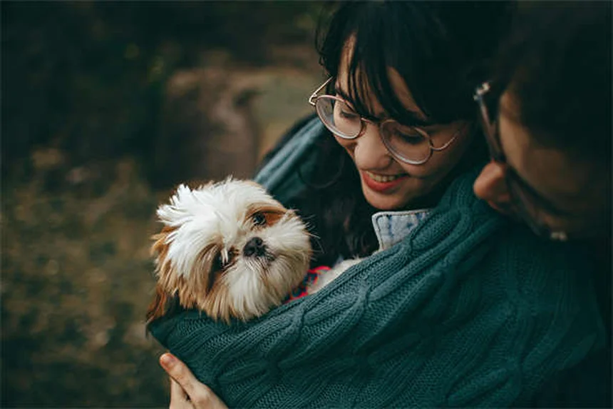 Virus Powassan en mascotas: ¿Realmente es una amenaza?